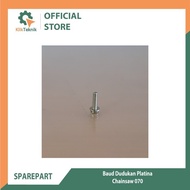 M4x14 Z1 LC 070 D-23 platinum head screw mounting bolt (ST, GBG)