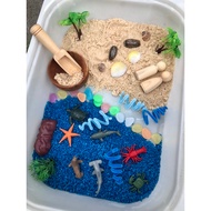 Ocean Animal Sensory Kit/ Children's Sensory toys Sea Animal Sensory Toys
