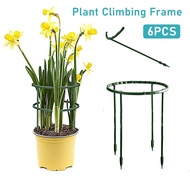LHK 6pcs 15/25cm Plant Support Frame/Flower Garden Pot Support Frame Set of Frame for Flower Climbin