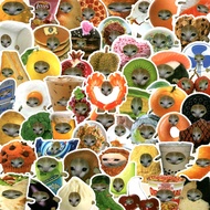69pcs Cute Fruit Cat Stickers – Graffiti-Style Decorative Stickers for Phones, Laptops, Stationery &
