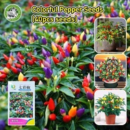 High Yield 40pcs Colorful Chili Pepper Seeds for Planting (High germination) Bolivian Rainbow Chili 