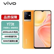 vivo Y73t 8GB+256GB 秋日 6000mAh大电池 44W疾速闪充 后置5000万像素 150%超大音量 5G 拍照 手机