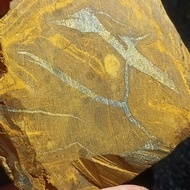 Opal Rough Stone Opal Rough Stone Fire Color Opal Opal Mineral Crystal Ore Teaching Specimen Colorfu