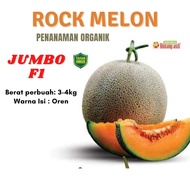 Buah Rock Melon 3-4kg Segar Dari Ladang Harga 1 KOTAK Free Pesticide / Rock Melon / Buah Organik / Tanpa Bahan Kimia
