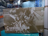 Bandai HG 1/144 Build Fighters Cathedral Gundam 模型