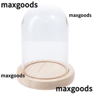 MAXGOODS1 Glass Bell Shape Dome,  with Wooden Base Cloche Glass Dome, Durable Easy to Use Practical Tabletop Centerpiece Bell Jar Display  Home Decor