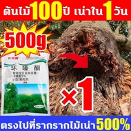 💥ราคาต่ำสุด💥ยาฆ่าต้นไม้ใหญ ยาฆ่าไผ่ ยาฆ่าหญ้ 500g สูตรเข้มข้น ฆ่าต้นไม้และไม้ไผ่ทุกชนิด รากเน่าเสียท