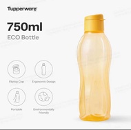 Tupperware 750ml Eco bottle