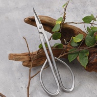 Gardening Shears Fruit Tree Shears Flower Branch Shears Thick Branch Shears Branch Shears All Stainl