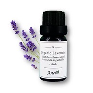 Aster Aroma 有機薰衣草香薰精油 10ml Fixed Size