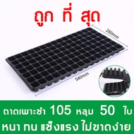 105หลุม ถาดเพาะกล้า ถาดเพาะชำ ถาดเพาะต้นกล้า ถาดเพาะต้นอ่อน ถาดเพาะเมล็ด ถาดเพาะปลูกผัก ถาดเพาะไฮโดร