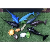 Sea animal Toy set/undersea water set/sea animal Toy/Hard animal Toy