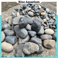 Natural Crush Pebbles In Black Blue Decorated - Setup Aquarium, Aquarium, Biotope Beautiful Product