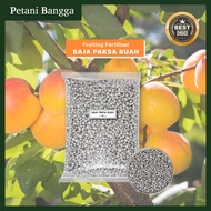 Baja Paksa Buah | Baja Gemuk Buah Viral | Baja Penggalak Buah | Fruiting Fertilizer