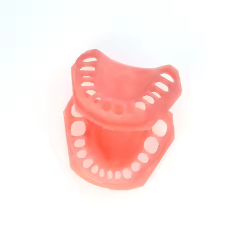 28 Teeth Soft gingiva Simulado gums Upper and Lower Fit Dental Kilgore NISSIN 200 Type