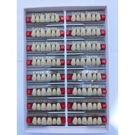 Jual Gigi Palsu Caiyu Depan Atas per Box isi 16 Papan Limited