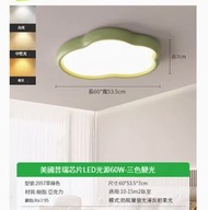 全城熱賣 - LED吸頂燈【2957-草綠色60cm-三色變光60W】