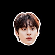 Waterproof Stickers Car Fridge Magnet Die-Cut For People Pets Hwang Min Hyun HGMH2