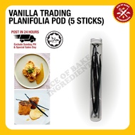 VANILLA TRADING Planifolia Pod (5 Sticks)