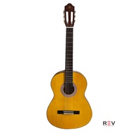 Beginner Classic Guitar