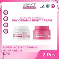 Animate 5x Active Whitening Bundle Package DAY Cream & Night Cream
