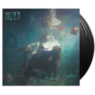 HOZIER Wasteland, Baby Vinyl (Black, 2LP)