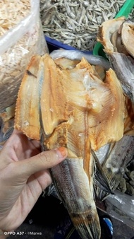 ikan asin gabus tomang gabus kolam gabus kering.. super..per ekor.. isi 1/2/3  trgantung berat pas n