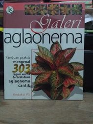 Galeri Aglaonema