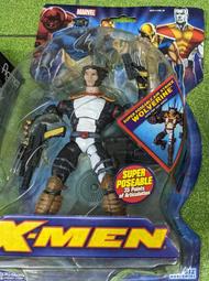 漫威小頑童35關節可動 Toybiz X-men Xmen Marvel Legends HoM 飛翼 金鋼狼 羅根 X