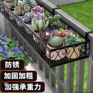 花架&(🔥全新)空氣草&空氣鳳梨 #Air plant #嚴龍&龍舌蘭 Agave Titanota 'Crown'多肉植物&塊根植物象牙宮&龜甲龍&仙人球適用&悬挂花盆&挂架&置物架