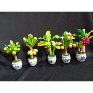 Mongkhon Tree 4 Inches High 35 -