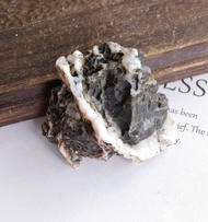 wind-cut stone 內蒙古產地 戈壁石 風凌石 風礪石 天然礦石 原礦