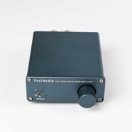 Audio Mini Power Amplifier Hi-Fi Class D 160W Plus 160W