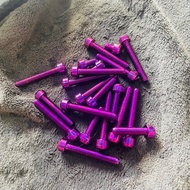 FULL 21 GR5 TITAN SCREWS mounted on FULED/WAVE 125i engine block, super beautiful, rusty round cylin