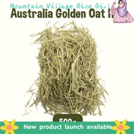 Mountain Village Rice Girl READY STOCK Australia Golden Oat Hay 500g (Suitable for rabbits chinchill