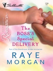 The Boss's Special Delivery Raye Morgan