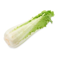 Long Cabbage (Teng Pek)