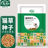Shouhe Cat Grass Wheat Grass Seed Cat Snacks Vegetable Seed