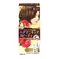 Salon de Pro Hair 美甲速效（灰髮適用）5號 天然棕 1件
