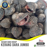 Kerang Dara 1 Kg/Kerang Dara Segar/Kerang Dara Hidup/Seafood