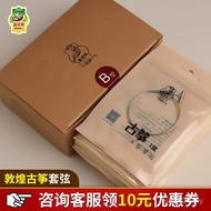 String Guzheng Accessories B-Type Universal Musical Instrument Brand Genuine Steel Wire Guzheng Stri