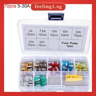 【FEELING】70Pcs small Automotive Fuse Assortment Kit 5, 7.5, 10, 15, 20, 25 & 30 Amp Mixed