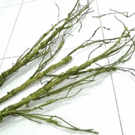 AKAR HIASAN/ GUBAHAN BUNGA/ AKSESORI DECOR/ORCHID ARRANGEMENT/ RUBBER BRANCHES/ AKAR ORKID/ RANTING 