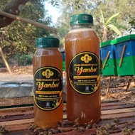 Madu Khotmil Quran Yanbu | Madu Ruqyah Pondok Pesantren
