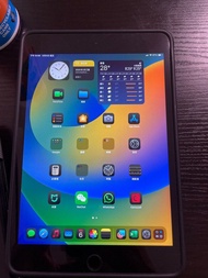 iPad Mini 5 64gb WiFi+cellular 全原裝