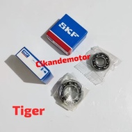 Bearing NOKEN AS TIGER Mega Pro Gl Pro Neo tech gl max neo tech C3 2pcs