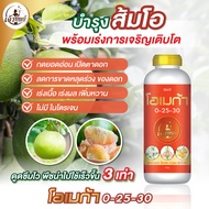 ปุ๋ยน้ำสูตรพรีเมียมสำหรับส้มโอ โอเมก้า 0-25-30 เปิดตาดอก ผลสวย บำรุงดอก บำรุงผล น้ำหนักดี ผลสวย ขนาด