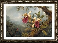 FRAMED Orchids And Hummingbirds by Martin Johnson Heade 24x36 Art Print Poster Famous Painting From 