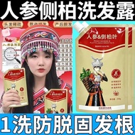 Official Cypress Leaf Ginseng Anti-Hair Loss Fixing Anti-Breaking Oil Control Fluffy Shampoo