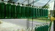 Botol kaca kosong BEKAS untuk tempat bensin 1 liter, berat 550 gram c